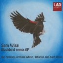 Sam Wise - Blackbird