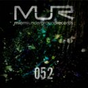 Andrei Freitas - Silent Hill (Sybel & Lui Danzi Remix)