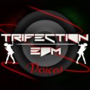 Trifection - Voices (Original Mix)