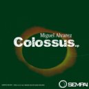 Miguel Alvarez - Vibrations (Original Mix)