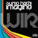 Sumo Hadji - Imagine (Original Mix)