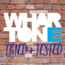 Steve Haines - Terminal