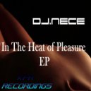 Dj.Nece - In The Heat Of Pleasure (Acidtoyz Remix)