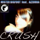 Mister Bigfoot feat. Azzurra - Crush