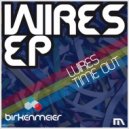 Birkenmeier - Wires (Original Mix)