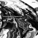 Lee M Kelsall - Transition