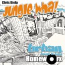 DJ Chris B - Jungle Wah! (Original Mix)