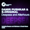 Damir Pushkar & B. Original - Beach House (Original Mix)