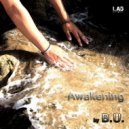 B.U. - Awakening (Original Mix)