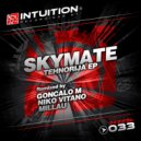 Skymate - Tehnorija (Millau Remix)