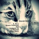 David Divine - Cats Mind (Bjoern Parkman Remix)