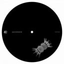 Rimles - Ascension