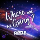 Nizzle - Where Are We Going (Radio Edit)