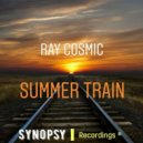 Ray Cosmic - Summer Train (Original Mix)