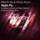 Bilal El Aly & Vince Aoun - Night Fly
