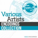 Maurizio Vitiello - Paraflu