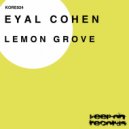 Eyal Cohen - I Watch (After Mix)