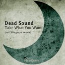 Dead Sound - Take What You Want (Original Mix)