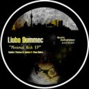 Liubo Dummec - Minimal Risk