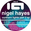 Nigel Hayes - Northern Lights