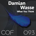 Damian Wasse - What You Think