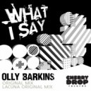 Olly Barkins - Lacuna (Original Mix)