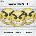 Section 1 - Gonna Take U High