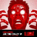 Kidnappers - Are You Crazy? (Roi Nandor Remix)