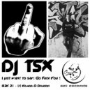 Dj Tsx - In Your Fucking Face (Original Mix)