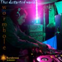 Wormhole - Invisible Reality