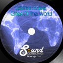 Cristhian Kaiser - Madman (Brasilia) (Original Mix)