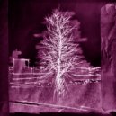 Highsage - Structures of Acid