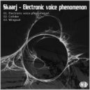 Skaarj - Wingsuit (Original Mix)