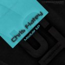 Chris Flatey - Module (Original Mix)