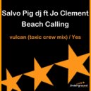Salvo Pig Dj - Yes