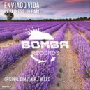 Enviado Vida - Happiness Gleam (K.R.J. Remix)