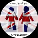 Vanleer - Mixed Feelings (Original Mix)