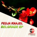 Fedja Knajdl - Night Lights Of Belgrade