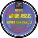 Vitaly Mclay, DJ Schiffer - Dis Go!