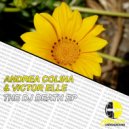 Andrea Colina, Victor Elle - Mysteryous Love (Original Mix)