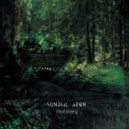 Sundial Aeon - Wolfsberg (Sonic Saturation Remix)