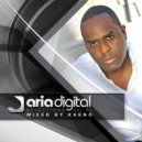 Stephen Coyle - Evacuate (Original Mix)