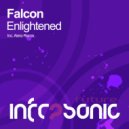 Falcon - Enlightened