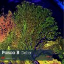 Pasco B - File 1 (Original Mix)