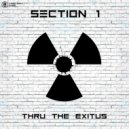 Section 1 - Thru The Exitus