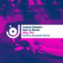 Andrea Carissimi feat. LT Brown - Why
