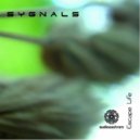 Sygnals - Recollection