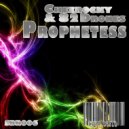 Cheerocky & 82 Drones - Prophetess (Original Mix)