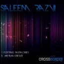 Saleem Razvi - Metamoresize