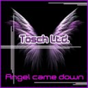 Tosch Ltd. - Angel Came Down